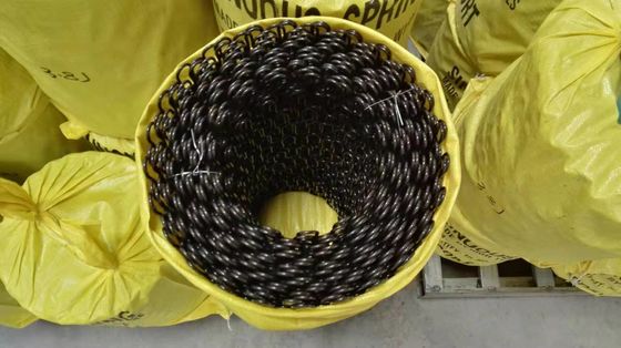 Lunghezza personalizzata Epoxide nero rivestito molla a forma di S per supporto del divano