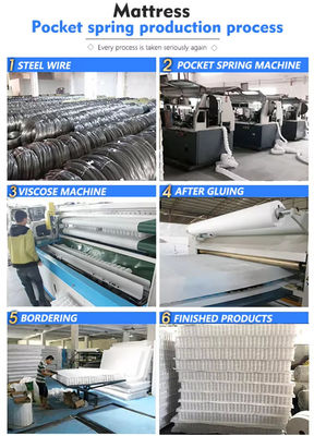 Fornitore di molle di tasca Customized 2.0mm Zone Mattress Pocket Spring Unit