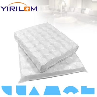 Cuscino a molle insacchettate da 20 pollici personalizzato per divano