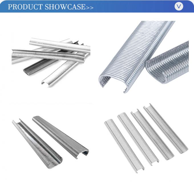 Esemplari gratuiti Produttori di adesivi per chiodi galvanizzati 5