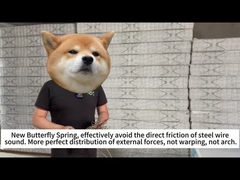 Primavera della farfalla