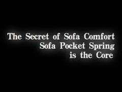 Unità di molla di polso del divano